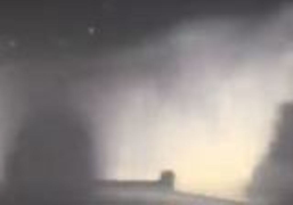 Dashcam Footage Shows Cow Chase Texas Deputy