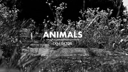 Loukoum Skateboards - Animals