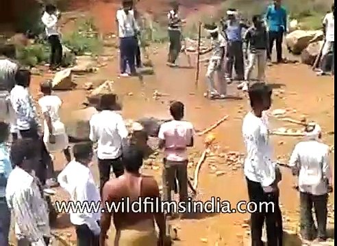 Bear attack, Villagers bludgeon and lynch Sloth Bear in central India