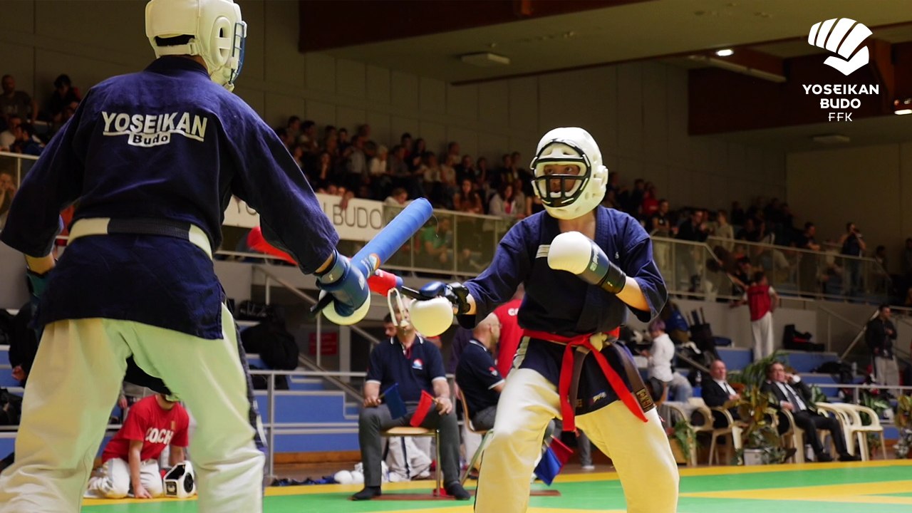 [Reportage] Les "France" 2018 de Yoseikan Budo