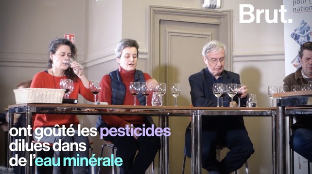Les pesticides dans le vin, ça en change le goût ?