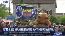 1.200 éleveurs protestent contre la réintroduction de l'ours dans les Pyrénées