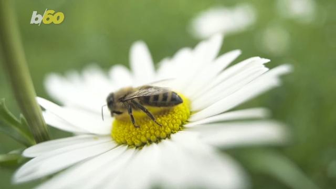 This is The Worst U.S. City To Be In For People With Spring Allergies