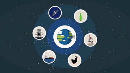 Three Ways to Destroy the Universe