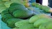 Mango festival promotes fruit during dwindling season