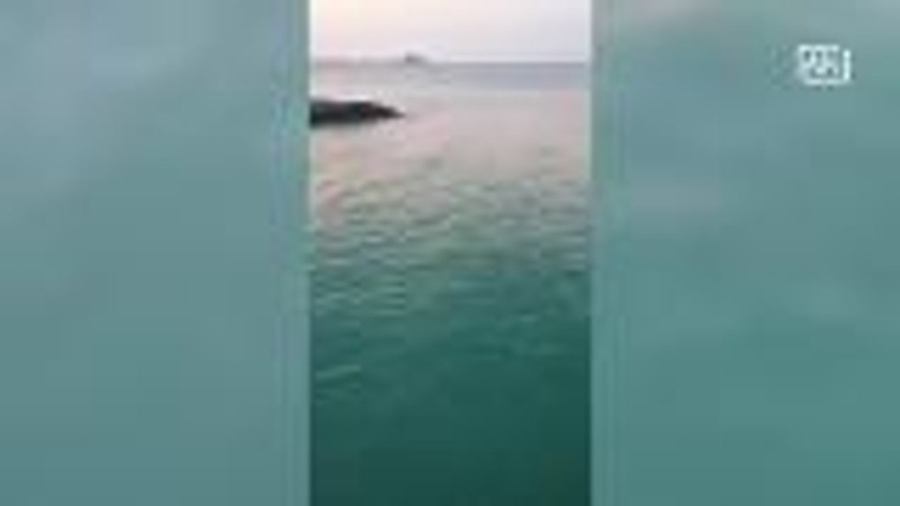 Shark warning issued after sighting and attack on tourist