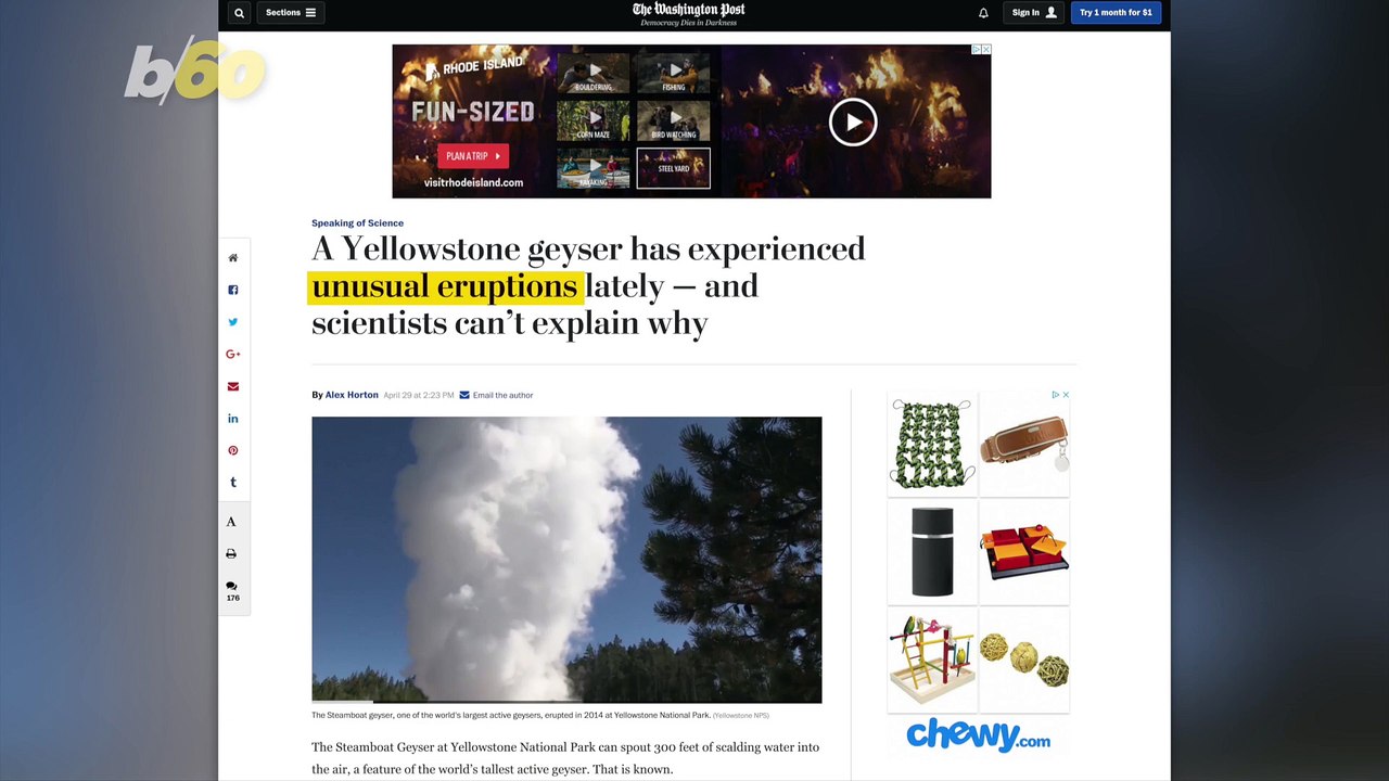 Unusual Geyser Eruptions at Yellowstone Don't Mean We're All Doomed