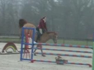 Olmifon ( horse 2002 ) with Laura Kraut for hunter / jumper