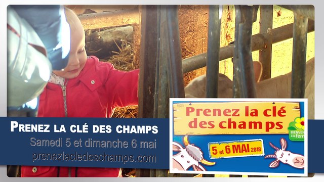 Toutes vos sorties dans la région Auvergne Rhône-Alpes!