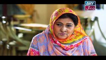 Mein Mehru Hoon Ep 116 & 117 - on ARY Zindagi in High Quality 30th April 2018