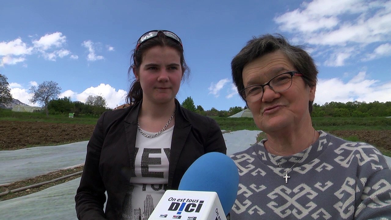 Hautes-Alpes : les radis sont de sortis !