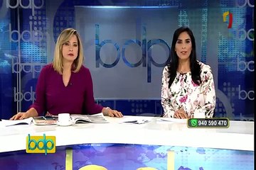 Delfines se colocan en fila y derriban a un surfista en Australia