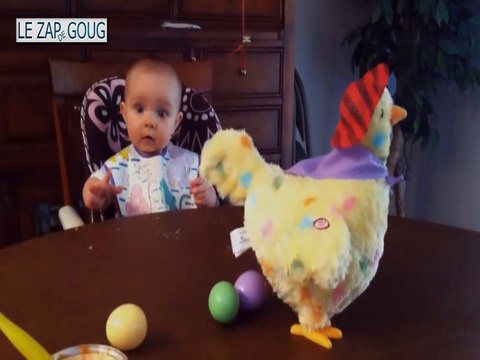 ZAP funny, fails, choc & INSOLITE - LE ZAP DE GOUG N°22