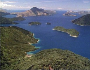 A Madarak Élete - 01. Égen És Földön (To Fly Or Not To Fly-) Deleted Scene