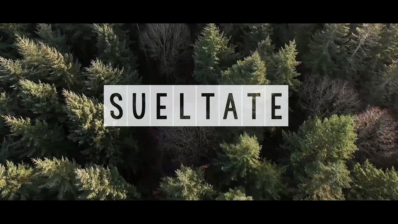SUELATATE INSTRUMENTAL USO LIBRE (link de descarga) - dogor mc
