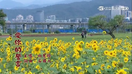 甘味人生429【Part 1】