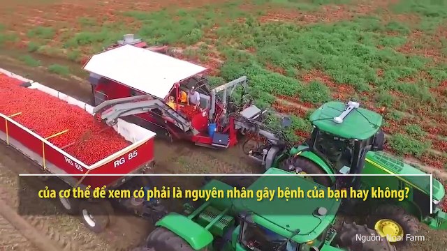7 loại rau củ “nhẵn mặt” trên bàn ăn nhưng không phải là thức ăn cho bạn nếu bạn đang mắc những căn bệnh này