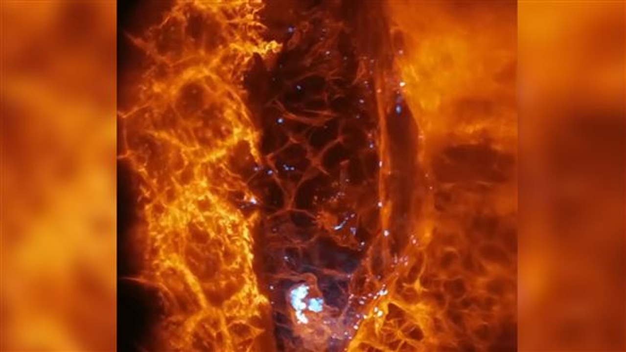 Schnelle flitzer: forscher gelingen klare 3d-aufnahmen von zellen