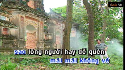 Chuyện Người Con Gái Hái Sim - Trường Vũ