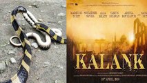 Sanjay Dutt's Kalank shooting CANCELLED because of 2 snakes FIGHT on sets  | FilmiBeat