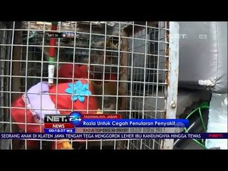 Razia Topeng Monyet -NET24