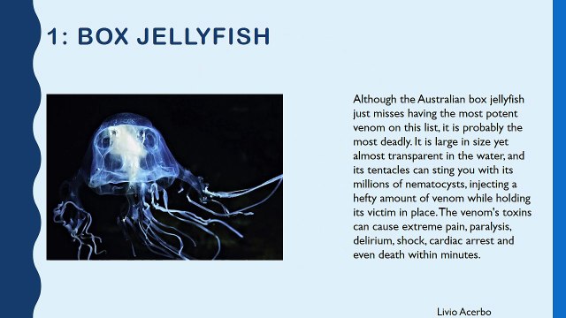 La maggior parte degli animali velenosi nel mondo di Livio Andrea Acerbo