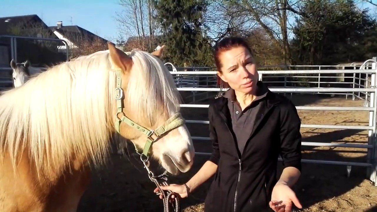 Wie mache ich meinem Pferd die Wurmkur schmackhaft?