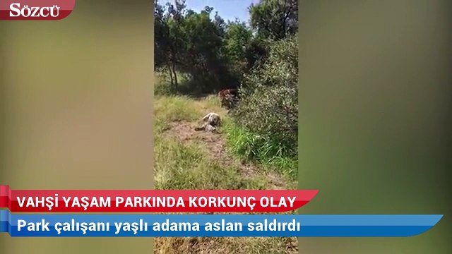 Vahşi yaşam parkında korkunç olay