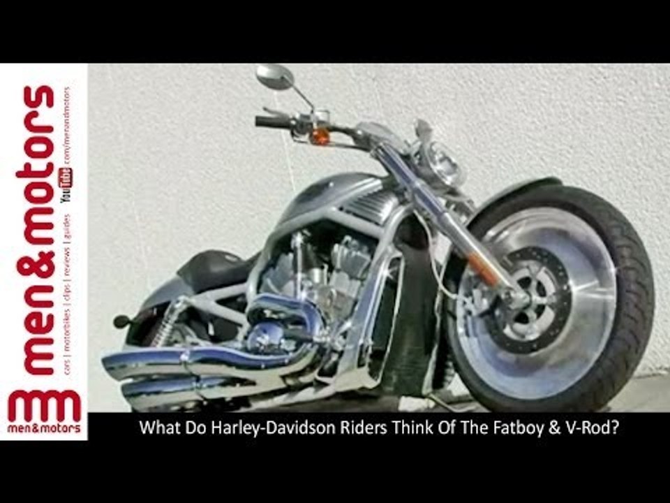 What Do Harley-Davidson Riders Think Of The Fatboy & V-Rod?