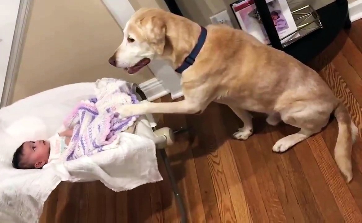 PERO MESE CUNA DE BEBE PARA DORMIRLO