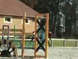 cheval étalon Esperito par Espri / Clinton 2004 saut