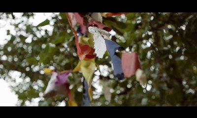 Discover the Stunning Beauty of Sri Lanka 🇱🇰