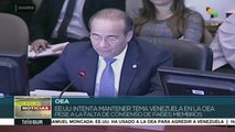 Moncada: OEA busca derrocar la democracia en Venezuela