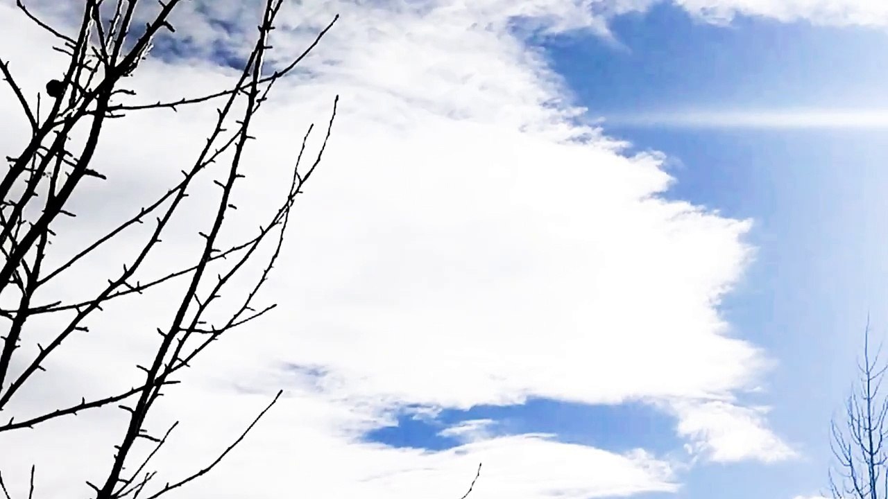 Full.Lead.Taco Haiku #2