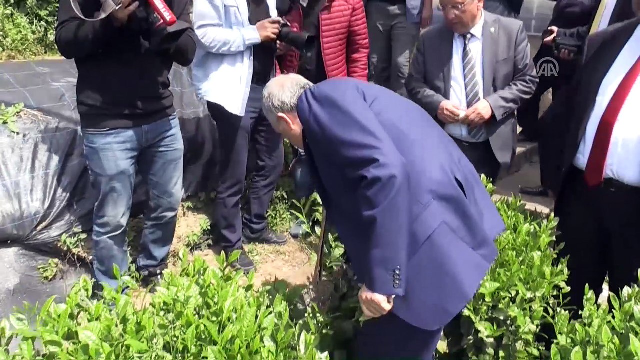 Fakıbaba: 'İnsanların mutlu olabileceği, kazandım diyebileceği bir ortam yaratmaya gayret ediyoruz' - RİZE