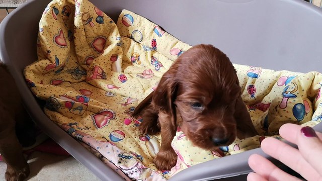 Hé les petits gars, montrez-nous votre petite bouille.....