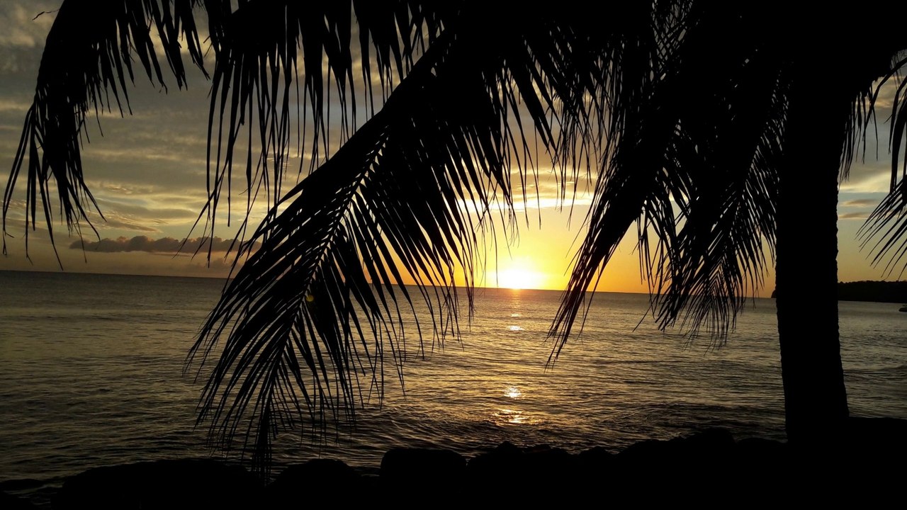 ZMF - Martinique - Avril 2018