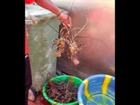 Funana di cabo verde