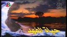 مسلسل الطير والعاصفة  1997 ح4 بطولة حياة الفهد غانم الصالح داوود حسين