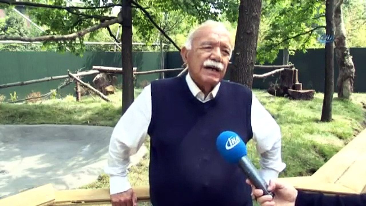 Hayvanat Bahçesinin Bebek Üyeleri İlgi Odağı Oldu