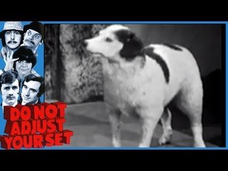 Do Not Adjust Your Set: Arthur The Amazing Perfoming Dog - Ep. 9