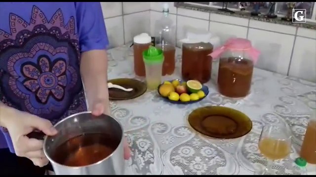 Aprenda a fazer seu próprio kombocha
