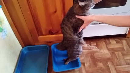 I should not relax, and standing can be screwed.