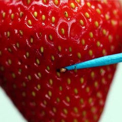 Did you know you can regrow fruit at home?!