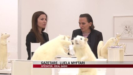Artistja austriake çel ekspozitën e veçantë në Tiranë - News, Lajme - Vizion Plus