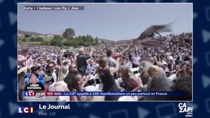 Des pélicans perturbent une remise de diplômes