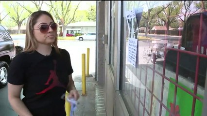 Family Desperate to Find Pregnant Bulldog Who Was Stolen from Their Yard