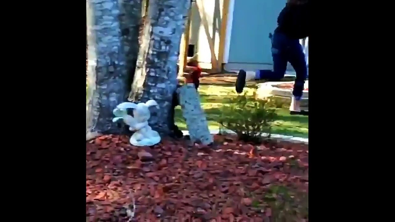 Cuando las aves atacan si te ries te suscribes_HD