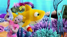 Baby Shark 3D Doo Doo Doo Nursery Rhymes and Kids Songs