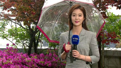 [날씨] 전국 반가운 봄비...낮부터 미세먼지 해소 / YTN
